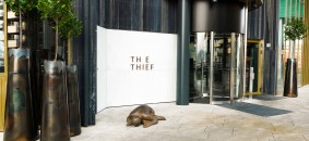 The Thief, foto di Marcel Leliënhof