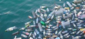 web_830x437_media-oceanplasticspollutionbottles